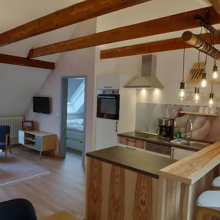 Thalmuehle Aparthotel Meisdorf Room photo