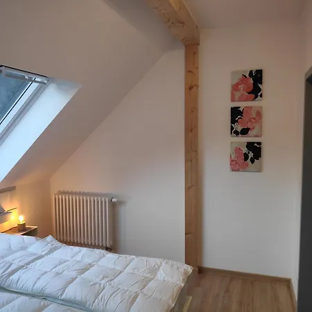Thalmuehle Aparthotel Meisdorf Room photo